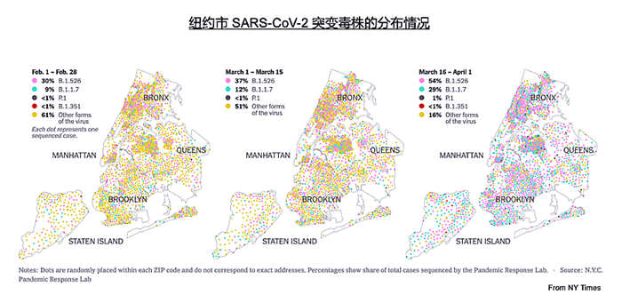 新冠病毒突变