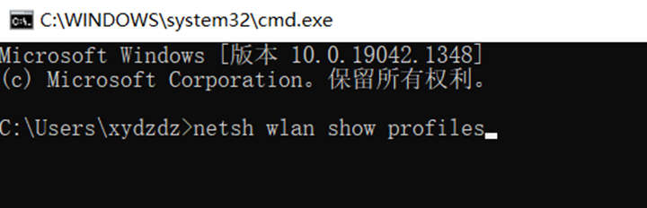 输入命令 netsh wlan show profiles